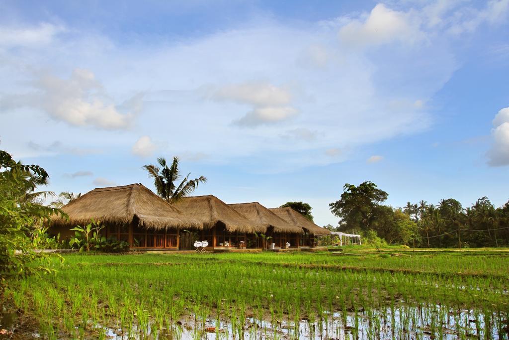 Sapulidi Resort Spa & Gallery Bali Ubud Exteriér fotografie