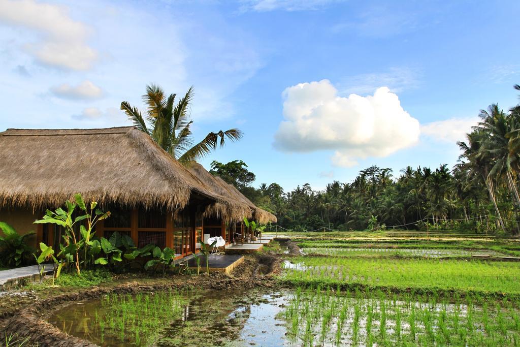 Sapulidi Resort Spa & Gallery Bali Ubud Exteriér fotografie