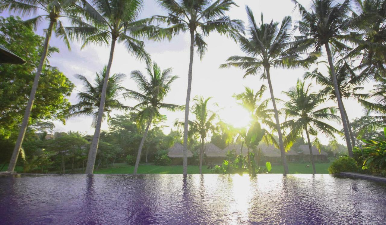 Sapulidi Resort Spa & Gallery Bali Ubud Exteriér fotografie