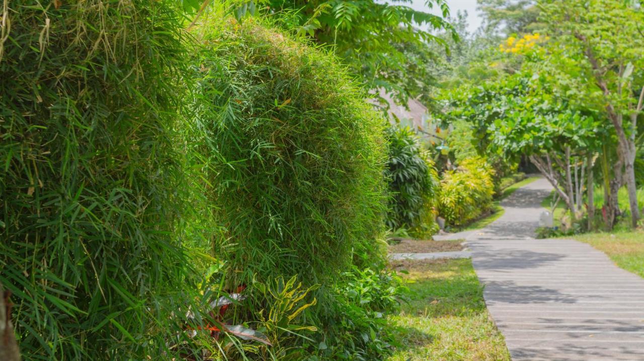 Sapulidi Resort Spa & Gallery Bali Ubud Exteriér fotografie