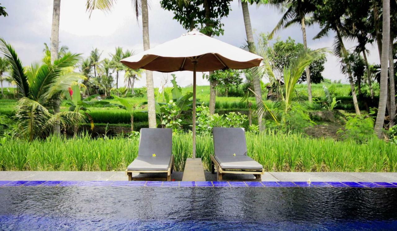 Sapulidi Resort Spa & Gallery Bali Ubud Exteriér fotografie